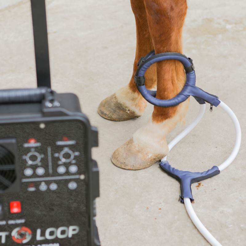 PMST LOOP PEMF Therapie Paard  - Therapy Health And Wellness recensie en prijs