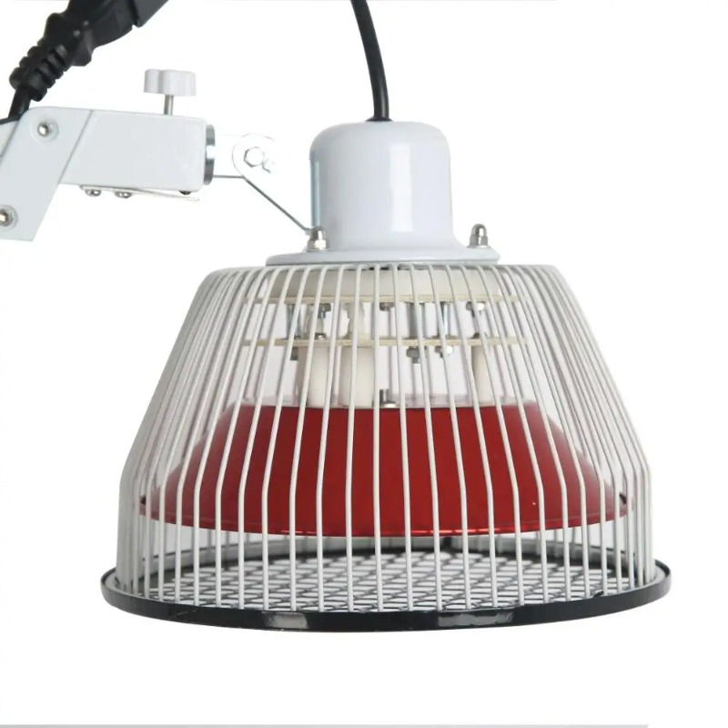Traditionele Chinese TDP-lampe - Therapy Health And Wellness recensie en prijs