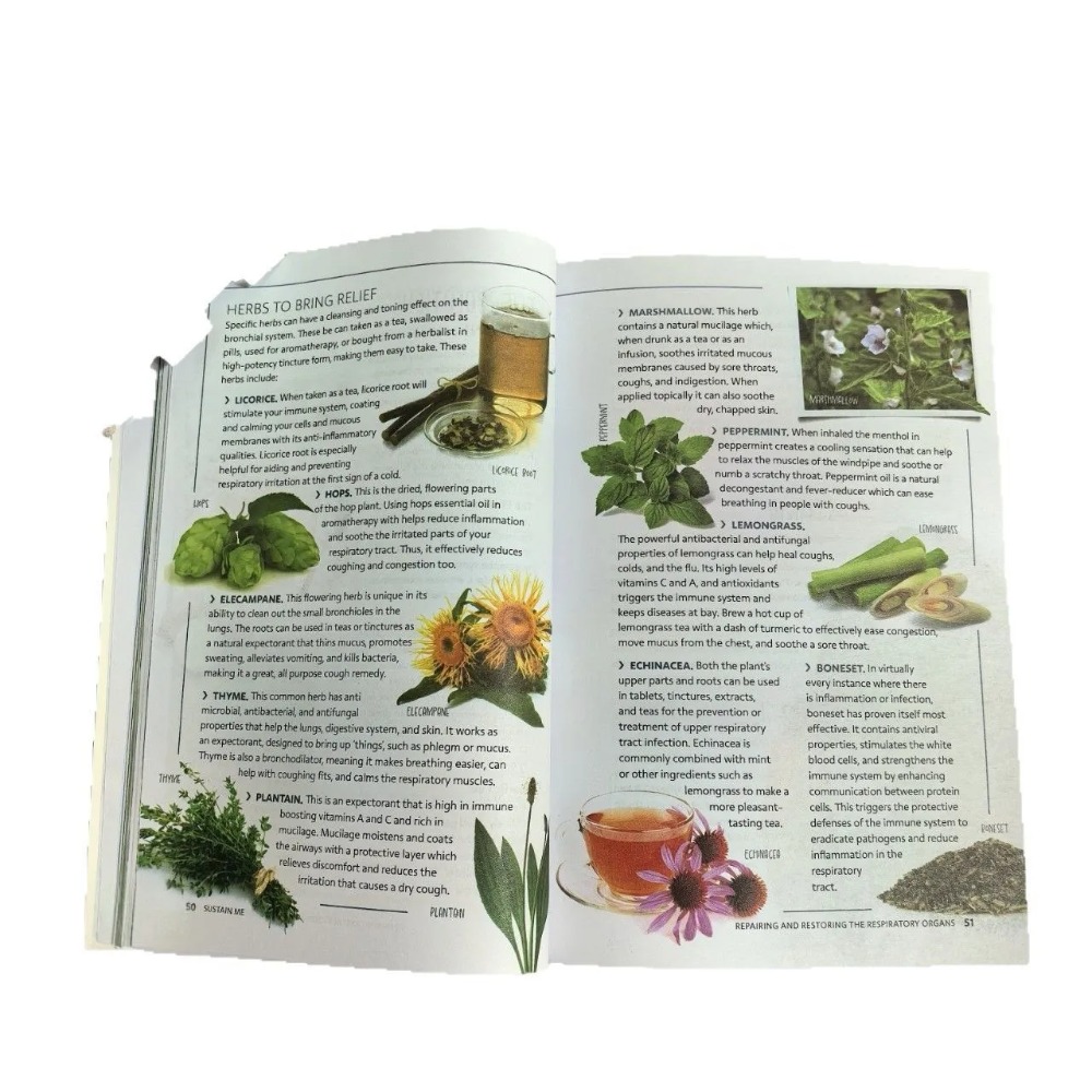 Sustain Me Engelse paperback d - Holistic Health & Wellness recensie en prijs