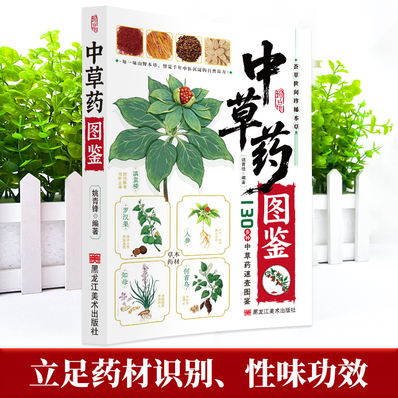 Geïllustreerde Gids Chinese Kr - Holistic Health & Wellness recensie en prijs