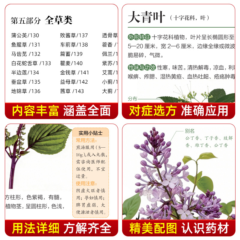 Geïllustreerde Gids Chinese Kr - Holistic Health & Wellness recensie en prijs